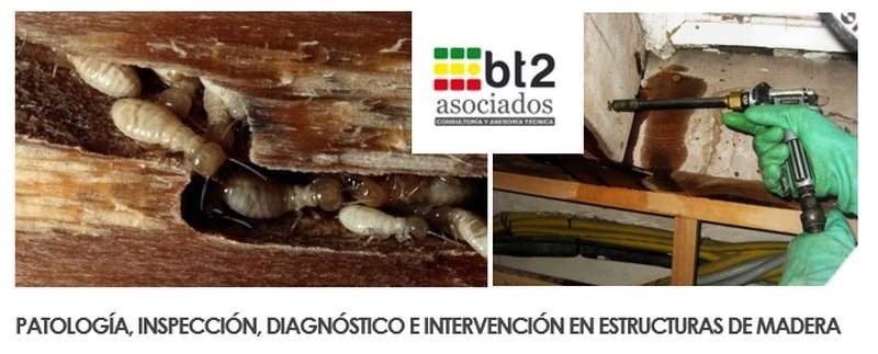 diagnóstico e intervención en estructuras de madera